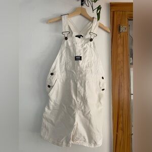 Vans Painter Style Overall Shorts